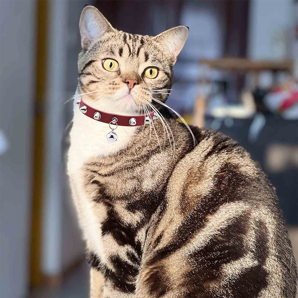 Leather Cat Collar With Bell D - огляд і ціна D Ring Strap
